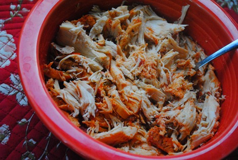 salsa chicken 021 salsa chicken 021
