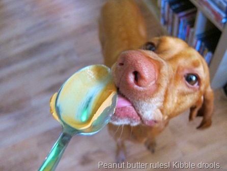 peanut butter dogs a s happiness peanut butter fingers peanut butter dogs a s happiness peanut butter fingers
