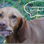 i don;t know