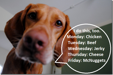 sadie blog topics