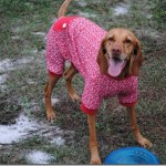 dog pajamas red 023 dog pajamas red 023