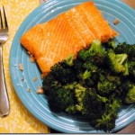 salmon 060-1 salmon 060-1