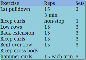 back bicep workout