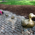 IMG_0165-001 IMG_0165-001