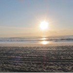 IMG_0331-001 IMG_0331-001
