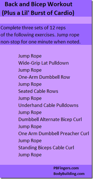 back and bicep workout