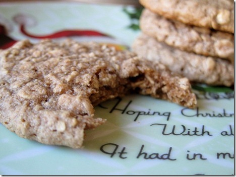 cocoat oatmeal cookies