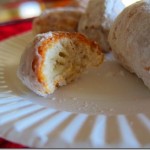 homemade doughnut munchkins homemade doughnut munchkins