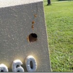 woodpecker hole mailbox woodpecker hole mailbox