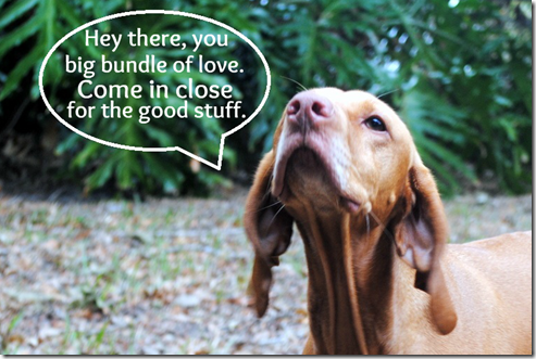 bundle of love