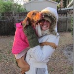 bundled up dog bundled up dog