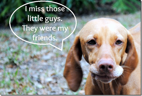 miss those guys