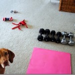 at home workout 001 at home workout 001