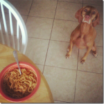 sadie wants pasta
