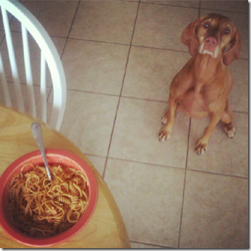 sadie wants pasta