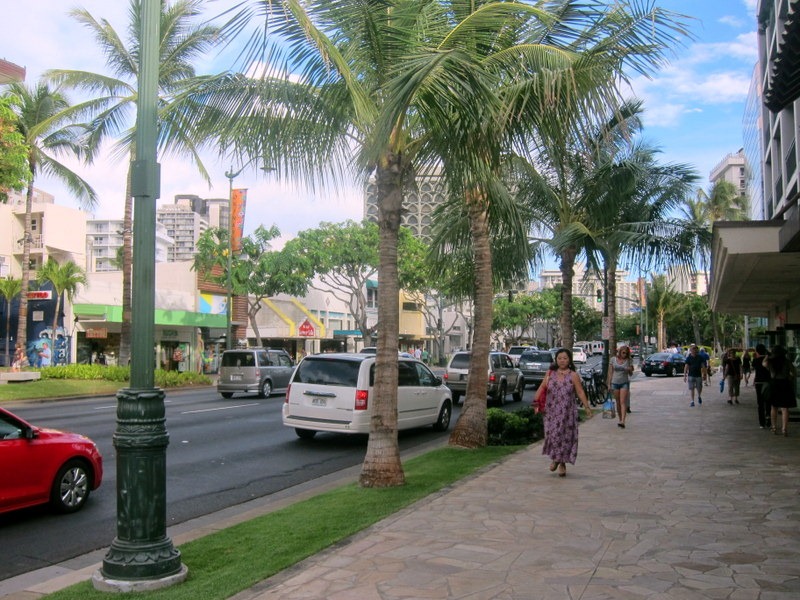 Waikiki Clothes