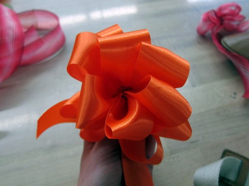 Harry Bows