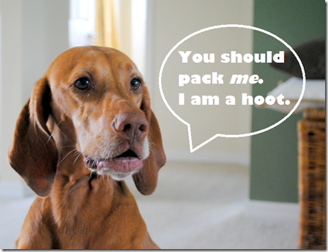 pack me