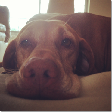 photo (1)