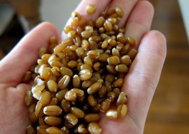 greek wheat berry salad recipe dishmaps greek wheat berry salad recipe dishmaps