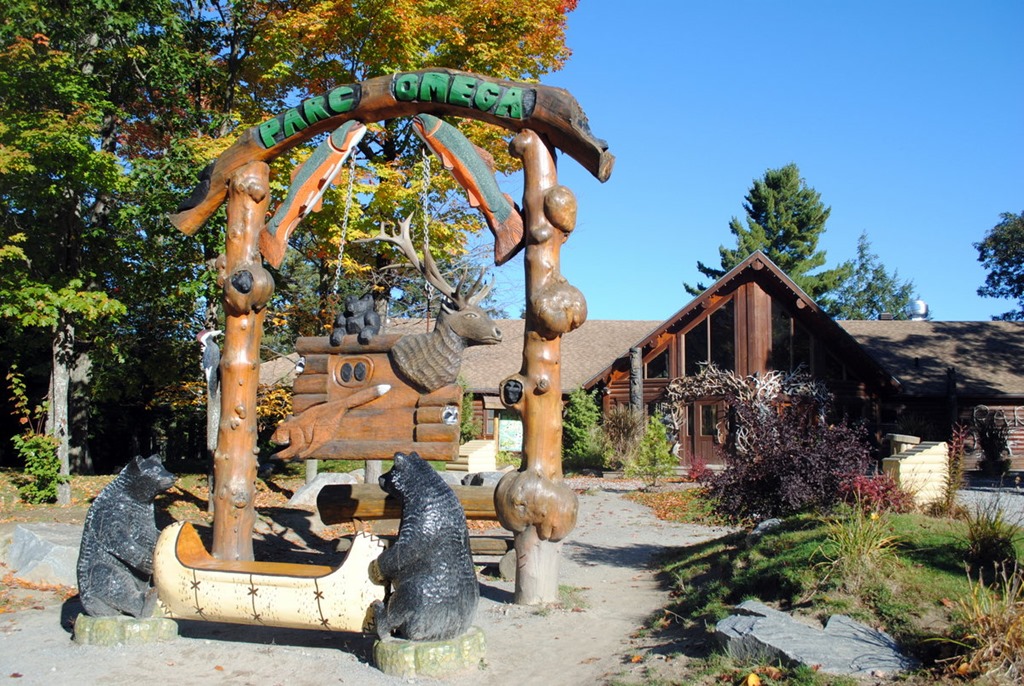 Parc Omega JungleKey.co.uk Wiki