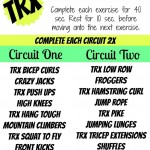 TRX-Circuit-Workout.jpg