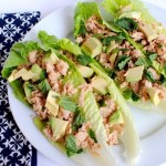 Thai Chicken Lettuce Wraps Thai Chicken Lettuce Wraps