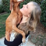 vizsla_thumb3.jpg