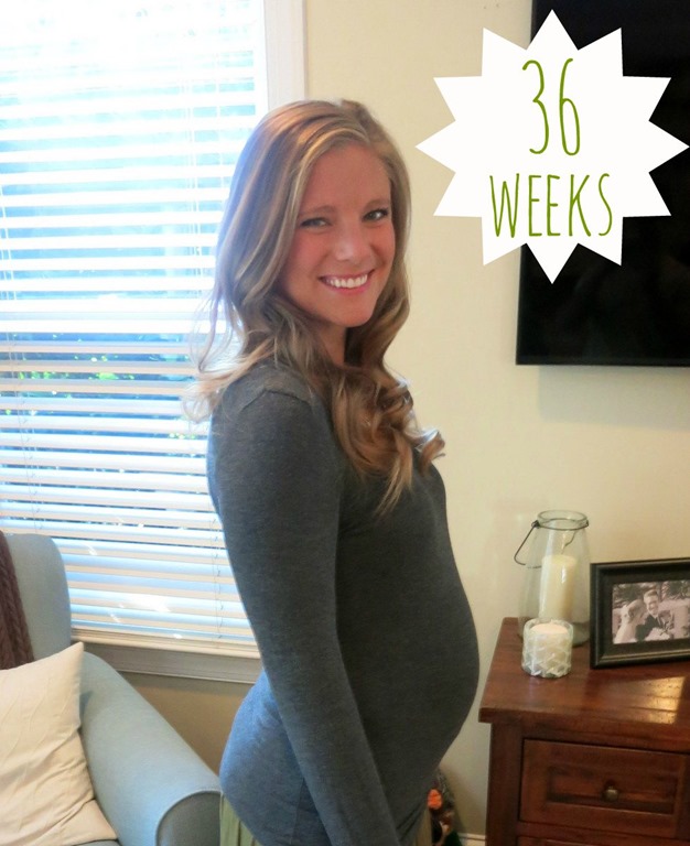 36 Weeks Pregnancy Update | 36 Week Bumpdate | By Lauren M
