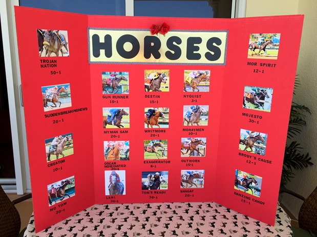 Boards.ie gambling horse