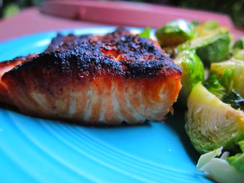 salmon 021