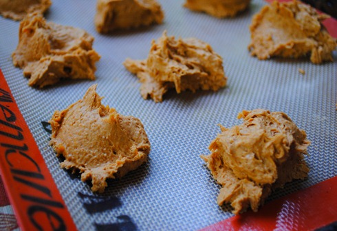 pumpkin spice cookies 026