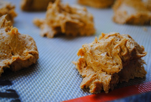pumpkin spice cookies 028