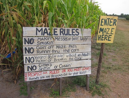 corn maze 007