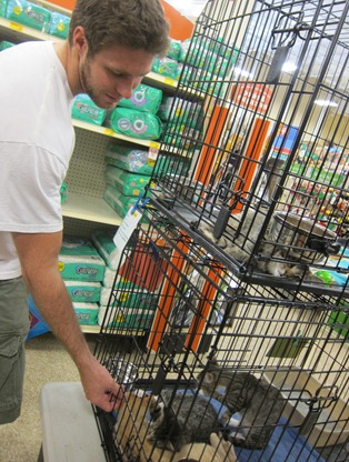 festival of trees 031