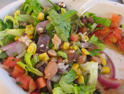 festival of trees 034