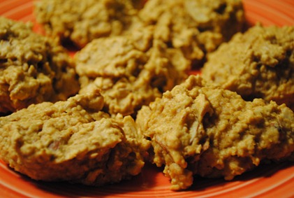 pumpkin oatmeal cookies 061