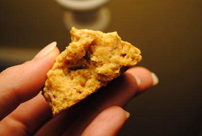 pumpkin oatmeal cookies 070