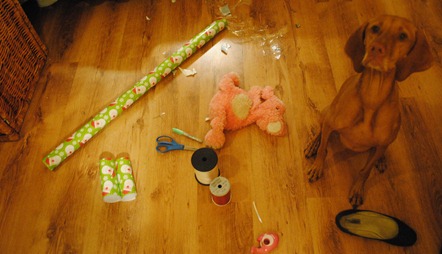 baldwin light festival 010