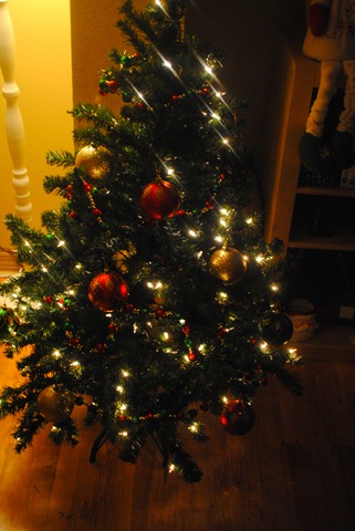 christmas tree 043