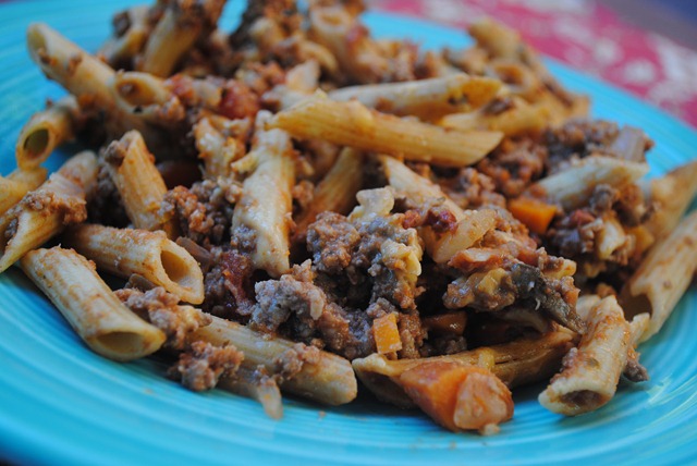 Can I Give My Dog Spaghetti Bolognese Can I Give My Dog Spaghetti Bolognese