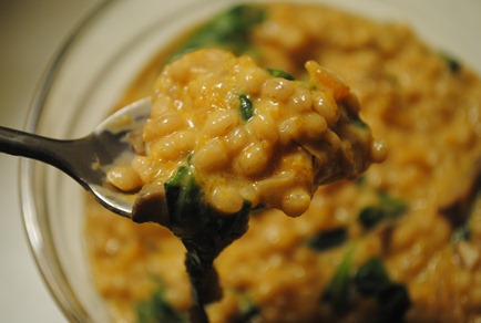 risotto 009