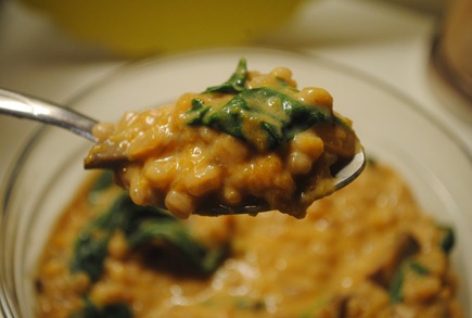 risotto 015