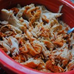 salsa chicken 026 salsa chicken 026