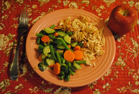 salsa chicken 029
