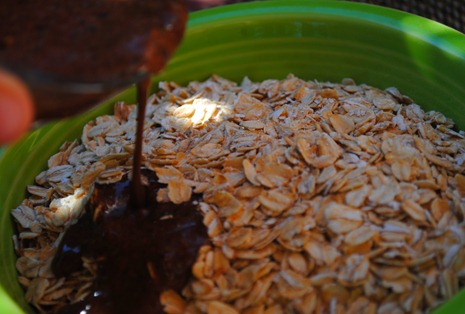 granola 016