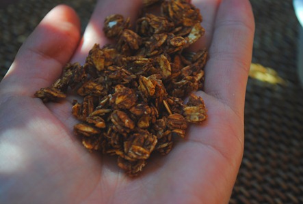 granola 027