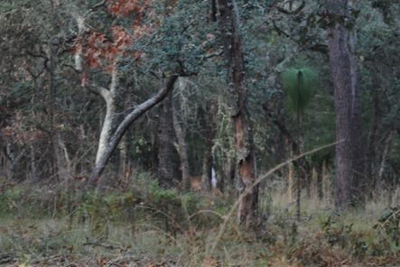 hiking 023