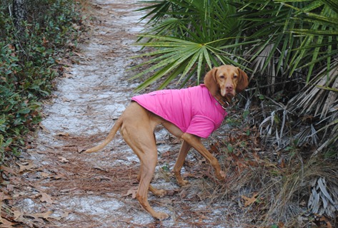hiking 027