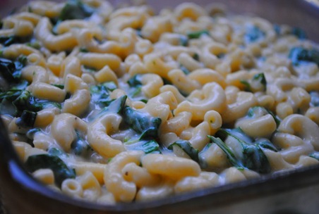 mac and cheese 021